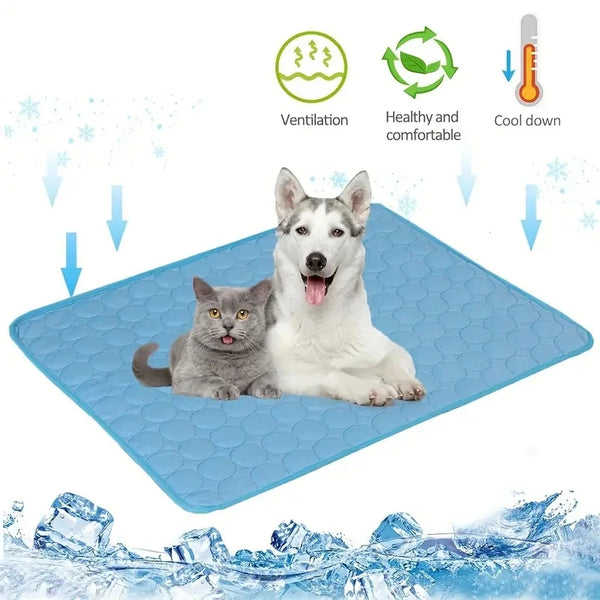 This cooling mat gives instant relief β no freezer needed! Just lay it down & let them chill. βοΈπ€